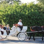 Central-Park-Horse-&-Carriage-Ride