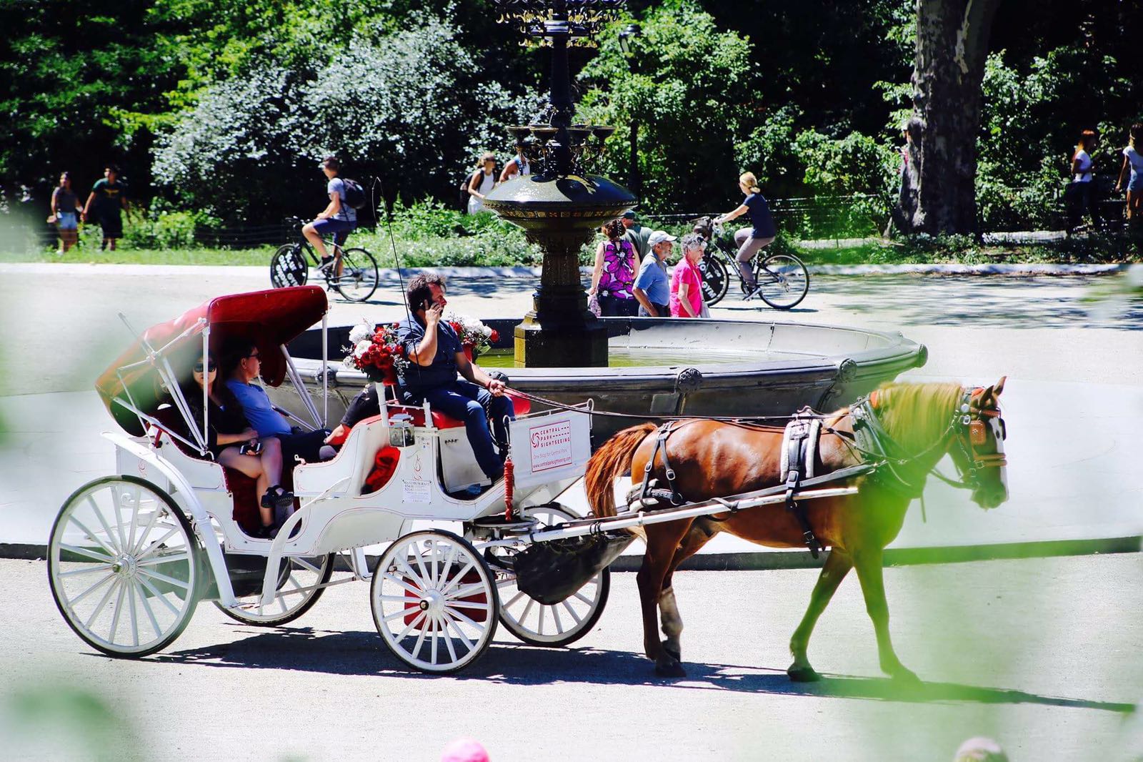 central park horse carriage tours