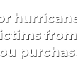 $1 for hurrican michael